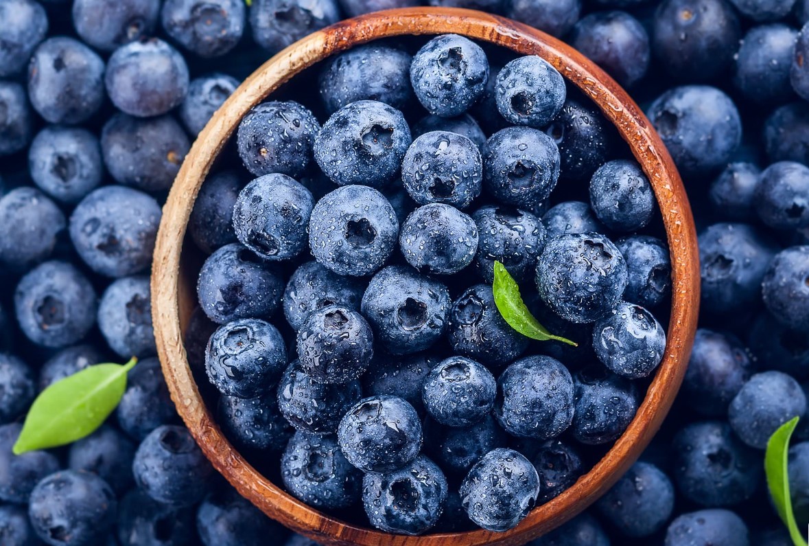 Manfaat-Kandungan-Blueberry-Bagi-Kesehatan-Tubuh